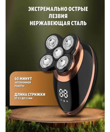 REPARY Electric for men - Buy Online on GoSupps.com