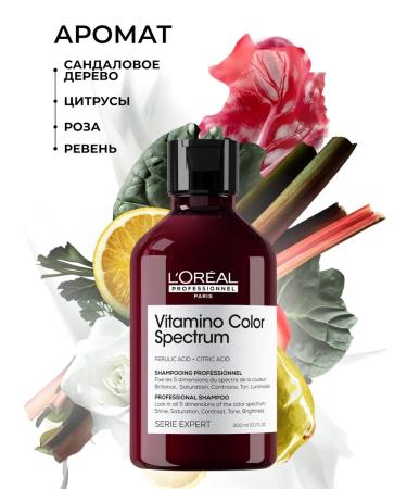 L'Oreal Professionnel Salusfund shampoo for dyed hair 300 ml - Buy Online on GoSupps.com