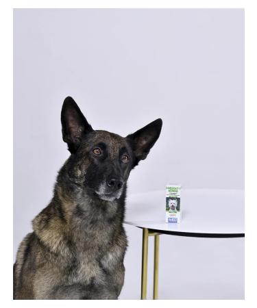 AVZ Feettal Combo suspension for dogs 10 ml - Buy Online on GoSupps.com