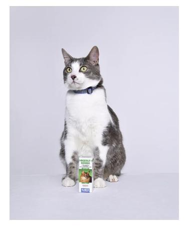 AVZ Feettal Combo suspension for cats 7 ml - Buy Online on GoSupps.com