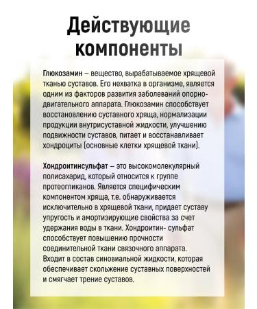 Vitamer Glucosamine chondroitin for joints 60 tablets - Buy Online on GoSupps.com