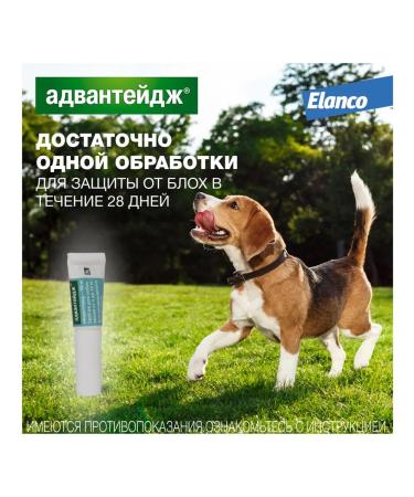 Elanco Advantage Drops for dogs from 4 to 10 kg units. 4 pipettes - Buy Online on GoSupps.com