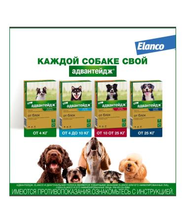 Elanco Advantage Drops for dogs from 4 to 10 kg units. 4 pipettes - Buy Online on GoSupps.com