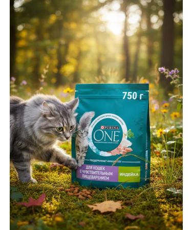 PURINA ONE Dry food for domestic cats 750g turkey