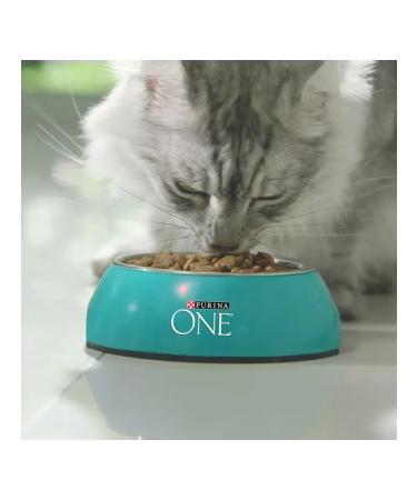 PURINA ONE Dry food for domestic cats 750g turkey - Buy Online on GoSupps.com