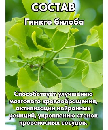 ALTAI NECTAR Natural complex with ginkgo bilobe for the brain - Buy Online on GoSupps.com