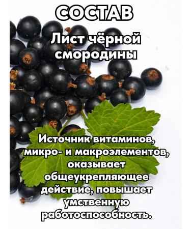ALTAI NECTAR Natural complex with ginkgo bilobe for the brain - Buy Online on GoSupps.com