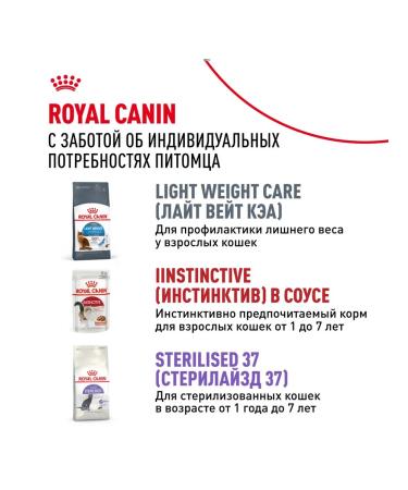 ROYAL CANIN Indoor Sterilated food for sterilized cats 85 g 5 pcs - Buy Online on GoSupps.com