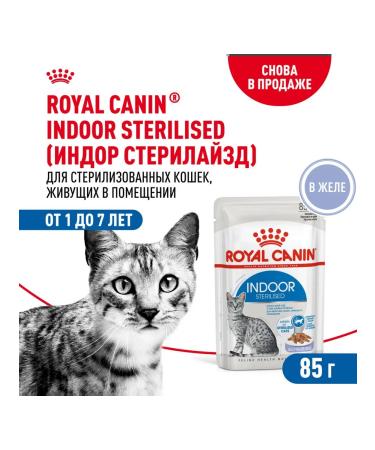 ROYAL CANIN Indoor Sterilated food for sterilized cats 85 g 5 pcs - Buy Online on GoSupps.com