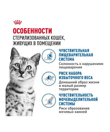 ROYAL CANIN Indoor Sterilated food for sterilized cats 85 g 5 pcs - Buy Online on GoSupps.com