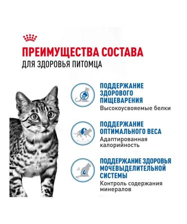 ROYAL CANIN Indoor Sterilated food for sterilized cats 85 g 5 pcs - Buy Online on GoSupps.com