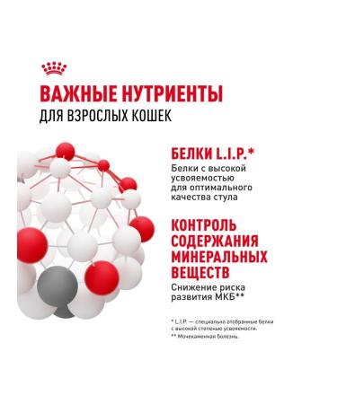 ROYAL CANIN Indoor Sterilated food for sterilized cats 85 g 5 pcs - Buy Online on GoSupps.com