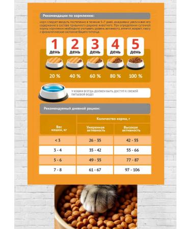 ProBalance Dry food for Immuno cats with salmon 8kg - Buy Online on GoSupps.com