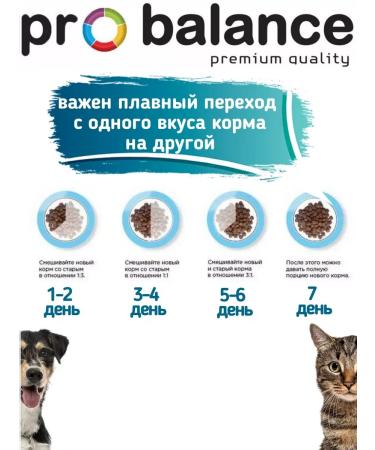 ProBalance Dry food for cats with salmon immuno 8kg - Buy Online on GoSupps.com