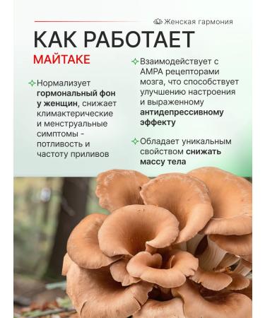 Hedgehog Matake (Maitaka) Mushroom 120 capsules of 500 mg - Buy Online on GoSupps.com