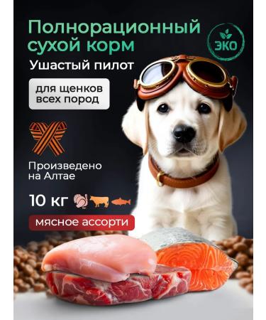 LongEared Pilot Dry food for dogs 10 kg with meat assorted