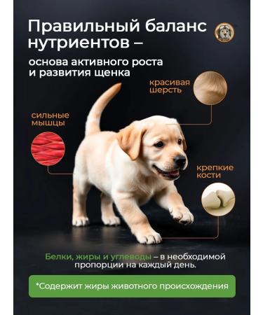 LongEared Pilot Dry food for dogs 10 kg with meat assorted - Buy Online on GoSupps.com