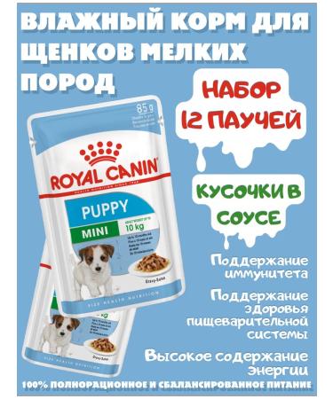 ROYAL CANIN Wet feed for small species of 85 g of 12pcs