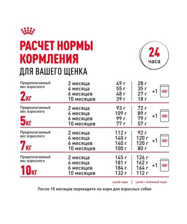 ROYAL CANIN Wet feed for small species of 85 g of 12pcs - Buy Online on GoSupps.com