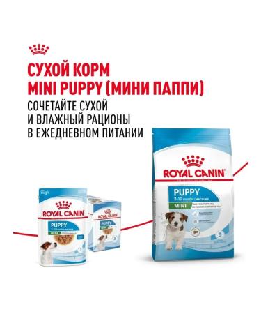 ROYAL CANIN Wet feed for small species of 85 g of 12pcs - Buy Online on GoSupps.com