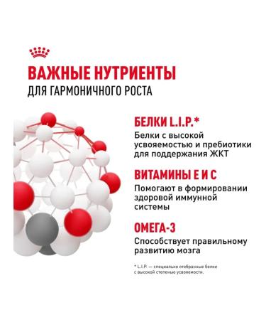 ROYAL CANIN Wet feed for small species of 85 g of 12pcs - Buy Online on GoSupps.com