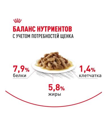 ROYAL CANIN Wet feed for small species of 85 g of 12pcs - Buy Online on GoSupps.com