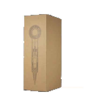 Hair dryer Professional powerful hairdryer with nozzles 5 in 1 - Buy Online on GoSupps.com