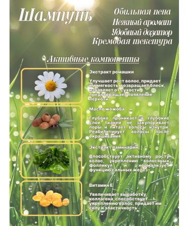 Elizaveta Set of shampoo and balm "Raspberry" 200ml - Buy Online on GoSupps.com