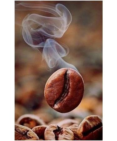 Megamedia Coffee in grains of Brazil Serrado 500 grams fresh fry - Buy Online on GoSupps.com