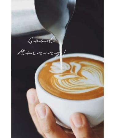 Megamedia Coffee in grains of Brazil Serrado 500 grams fresh fry - Buy Online on GoSupps.com