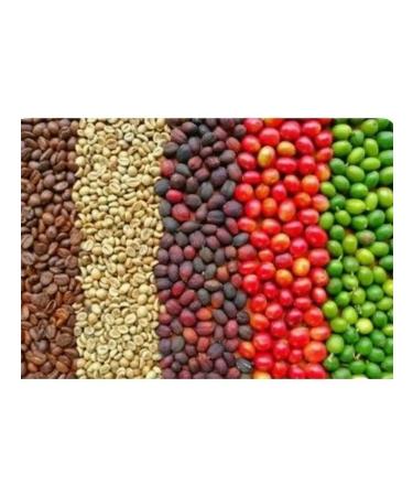 Megamedia Coffee in grains of Brazil Serrado 500 grams fresh fry - Buy Online on GoSupps.com