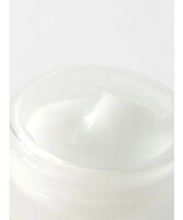 Elizavecca Facial cream with hyaluronic acid 50 ml - Buy Online on GoSupps.com