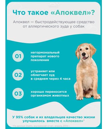 Zoetis Apokevel 3.6 mg dermatological tablets for dogs No. 100 - Buy Online on GoSupps.com