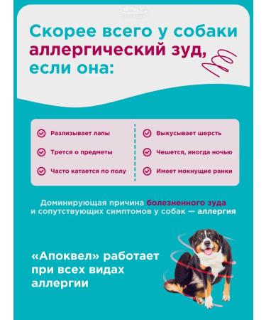 Zoetis Apokevel 3.6 mg dermatological tablets for dogs No. 100 - Buy Online on GoSupps.com