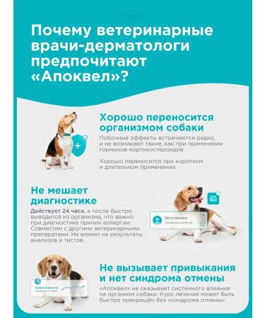 Zoetis Apokevel 3.6 mg dermatological tablets for dogs No. 100 - Buy Online on GoSupps.com