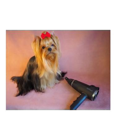 Kitfort Feng KT-3231 black - Buy Online on GoSupps.com