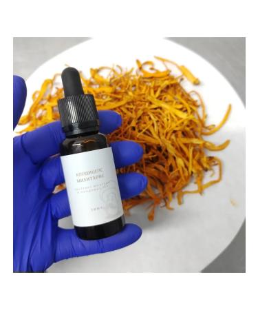 Mr Borovik Extract Cordyceps Militaris 30ml - Buy Online on GoSupps.com