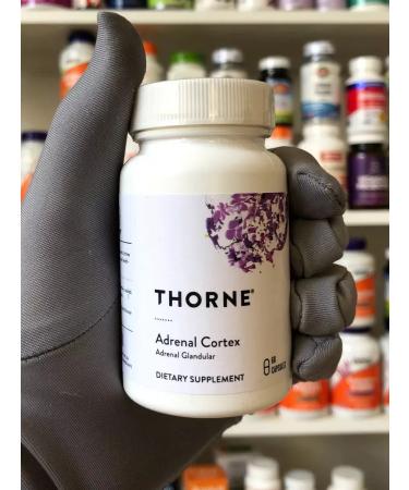 Adrenal Cortex Adrenal Cortex Adrenal adrenal