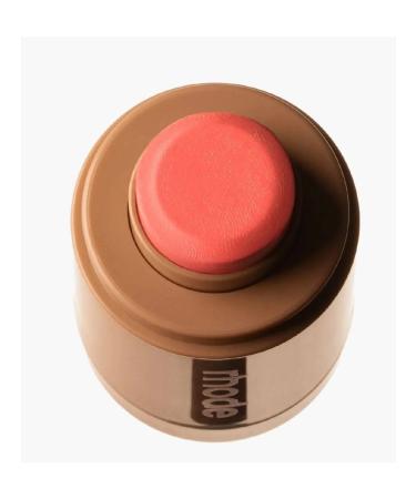 Rhode Pocket Blush Facial Blink Spicy Marg