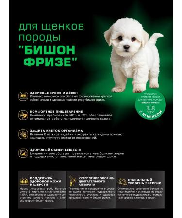 QUATTRO Bishon Frieze lamb 2.5 kg puppies - Buy Online on GoSupps.com
