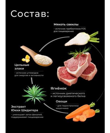 QUATTRO Bishon Frieze lamb 2.5 kg puppies - Buy Online on GoSupps.com