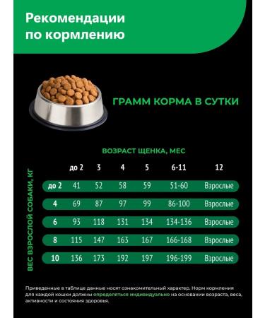 QUATTRO Bishon Frieze lamb 2.5 kg puppies - Buy Online on GoSupps.com