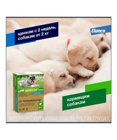 Elanco Drontal Plus for dogs with the taste of meat 10kg 2 tab - Buy Online on GoSupps.com