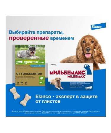 Elanco Drontal Plus for dogs with the taste of meat 10kg 2 tab - Buy Online on GoSupps.com