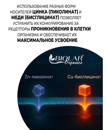 BIOLAR Zinc Picolinate + Copper chelate zinc Picoline - Buy Online on GoSupps.com