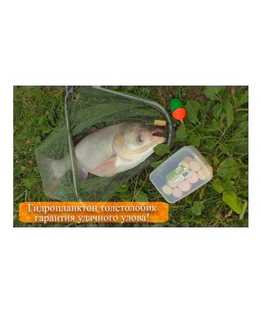 Hydroplankton Technoplankton slaughter 160g x 6 pcs. Cookie - Buy Online on GoSupps.com