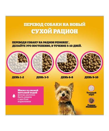 PEDIGREE Dry food for dogs of small breeds beef 3pcs of 500g - Buy Online on GoSupps.com