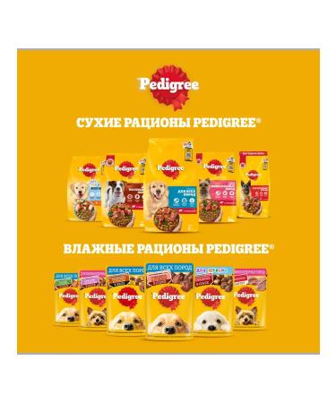 PEDIGREE Dry food for dogs of small breeds beef 3pcs of 500g - Buy Online on GoSupps.com