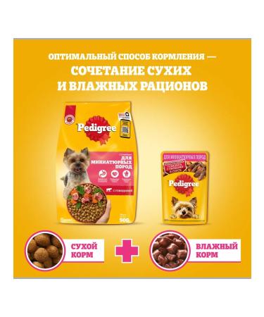 PEDIGREE Dry food for dogs of small breeds beef 3pcs of 500g - Buy Online on GoSupps.com