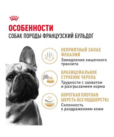 ROYAL CANIN Dry food for dogs of breed French bulldog 3 kg x 2 pcs - Buy Online on GoSupps.com